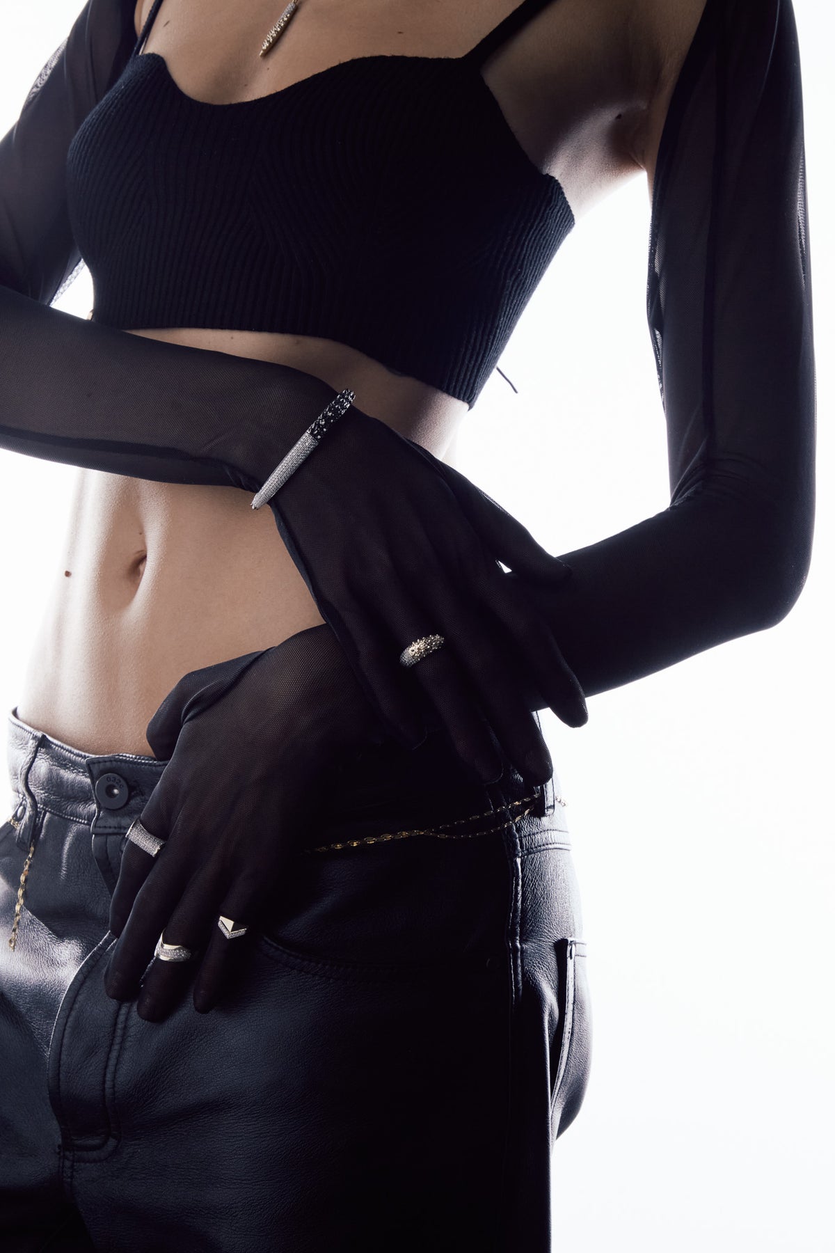 Spine