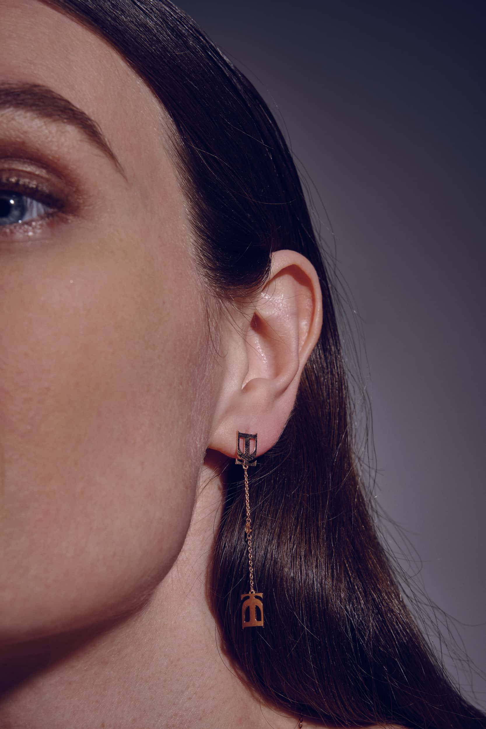 DT SIGNATURE EARRING-2